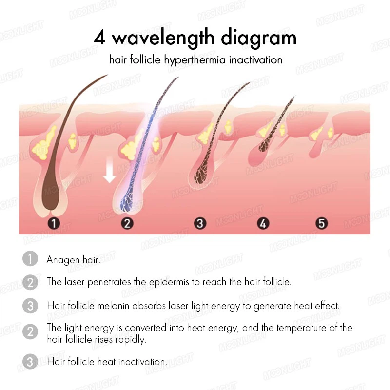 4 Wavelength mnlt